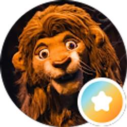Profile photo of Kim Conti