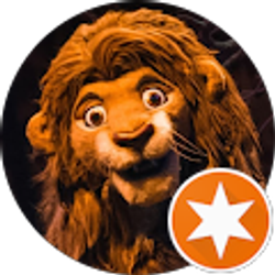 Profile photo of Kim Conti