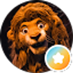 Profile photo of Kim Conti
