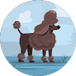 Profile photo of K HILL