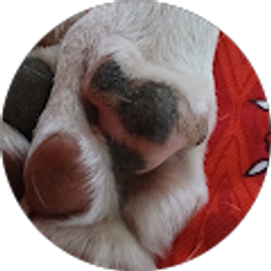 Profile photo of Katie Reynolds - Andres