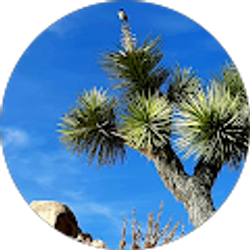 Profile photo of David Bowen