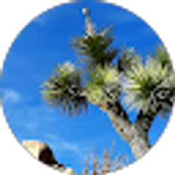 Profile photo of David Bowen