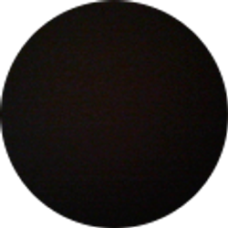 Profile photo of Stephen Jared Mallari