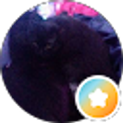 Profile photo of Shannon Gerke