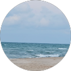 Profile photo of Kim D