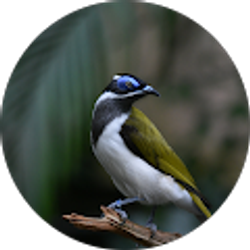 Profile photo of H H