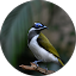 Profile photo of H H