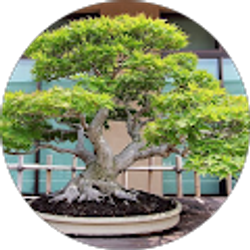 Profile photo of Eli Fay