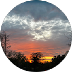 Profile photo of Ebony Smith