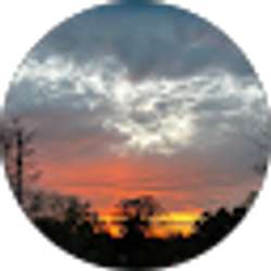 Profile photo of Ebony Smith