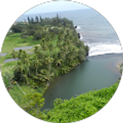 Profile photo of Wilson Ogbeide