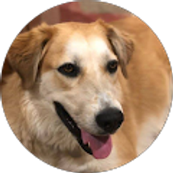 Profile photo of Gary Tasky