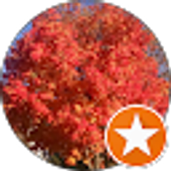 Profile photo of Amy Graff