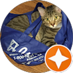 Profile photo of H. S. S