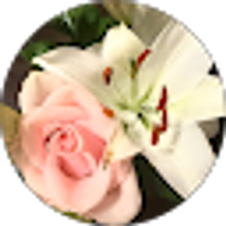 Profile photo of Lorena Martinez