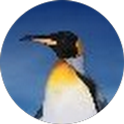 Profile photo of Edel Z