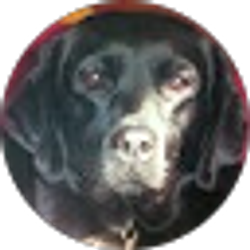 Profile photo of Patricia Williams