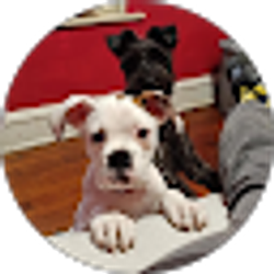 Profile photo of Arlie Brooks Milam III