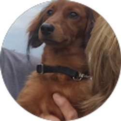 Profile photo of M Savas