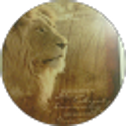 Profile photo of Manuel Hernandez