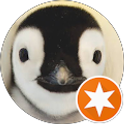 Profile photo of L LM