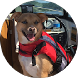 Profile photo of Jonathan Auster