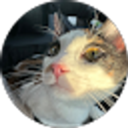 Profile photo of Yanelis Saez