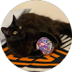 Profile photo of Angela Lechleidner