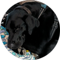 Profile photo of Christina Gray