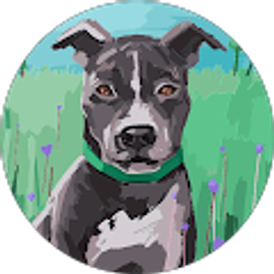 Profile photo of Pam Hodgin