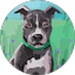 Profile photo of Pam Hodgin