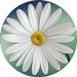 Profile photo of Macey Rycroft