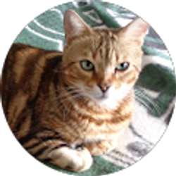 Profile photo of Jim Sullivan