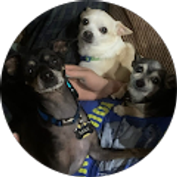 Profile photo of Ev Boyle