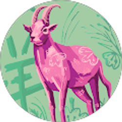 Profile photo of photo photo