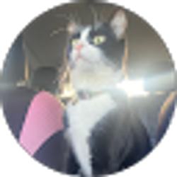 Profile photo of Rosa Vera