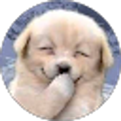Profile photo of Miguel Z