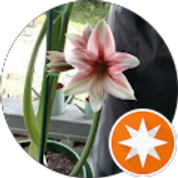 Profile photo of Jean Gonzalez