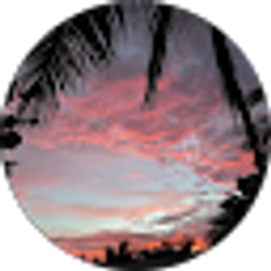 Profile photo of Margie Mejia