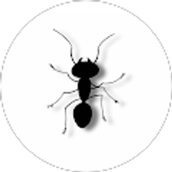 Profile photo of Michael Nelson