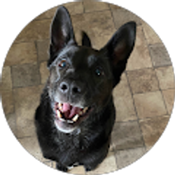 Profile photo of Mary Dorsey