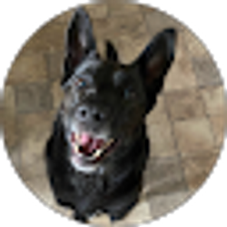 Profile photo of Mary Dorsey