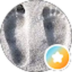 Profile photo of Mark Connely