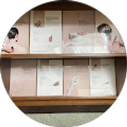 Profile photo of Jane McDermott