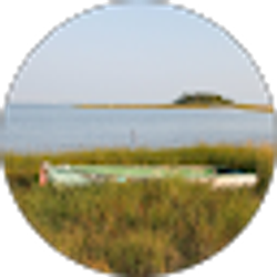 Profile photo of Sarah Mooring