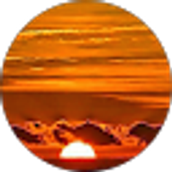 Profile photo of Bill Carey