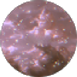 Profile photo of Angeline Joji