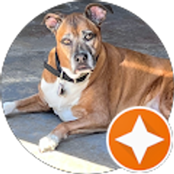 Profile photo of Frank S.