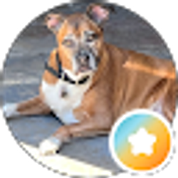 Profile photo of Frank S.